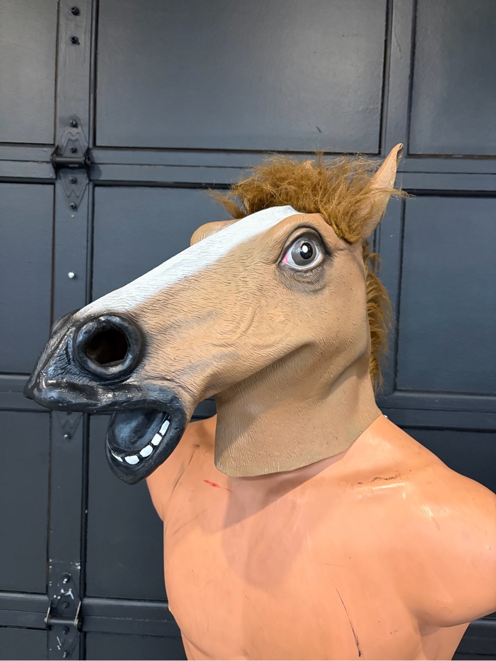 Horse Head Full Mask w/ Mane – Funny Halloween Costume Adult Novelty - Cosplay
